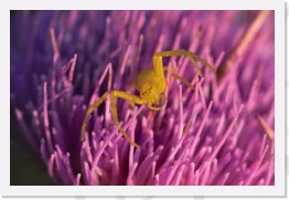 IMG06866 * 2268 x 1512 * (474KB)