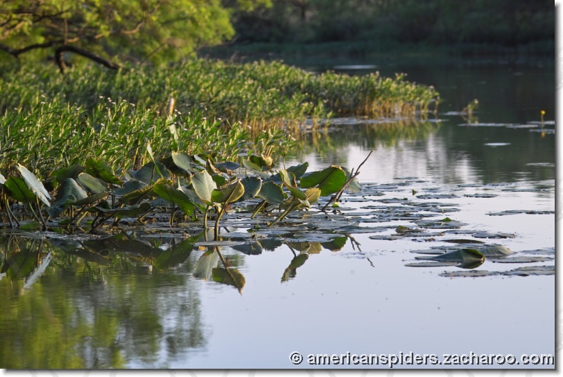 You have reached the last slide