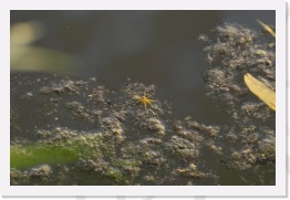 IMG07232 * 2268 x 1512 * (528KB)