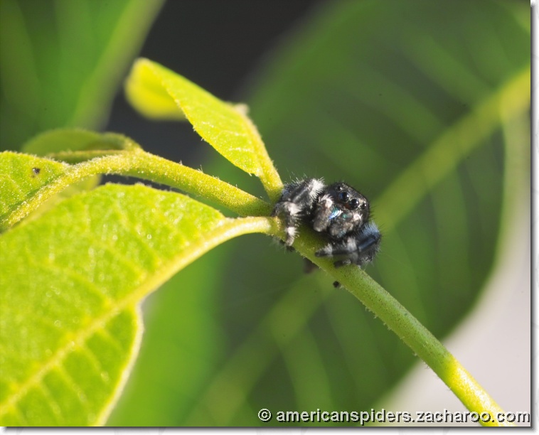 You have reached the last slide