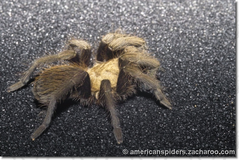 You have reached the last slide