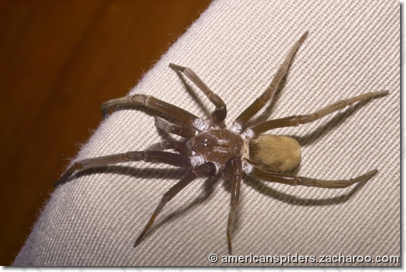 You have reached the last slide