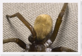 IMG05627 * 2268 x 1512 * (541KB)