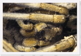 IMG08687 * 2268 x 1512 * (896KB)