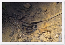 IMG08692 * 2268 x 1512 * (1.07MB)